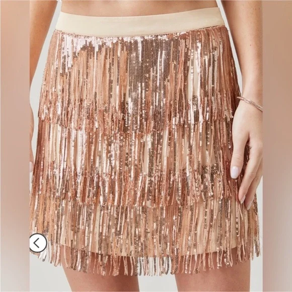 Francesca's Collections Skirts Francescas Champagne Sequin